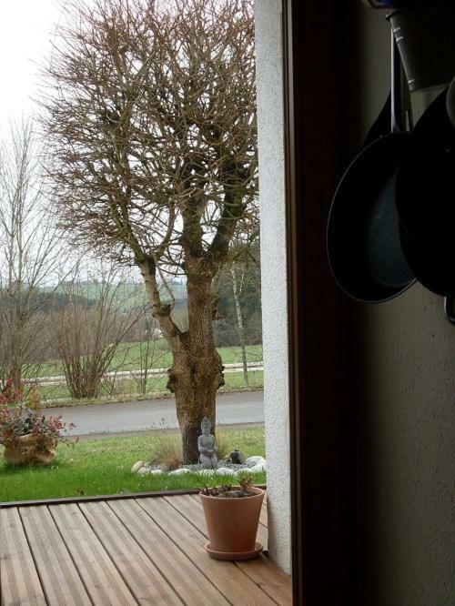 Silvi Apartment Herdwangen-Schonach Luaran gambar